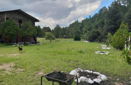 Creel House | Parador Arew 1 La Energa Que Impulsa El Alma