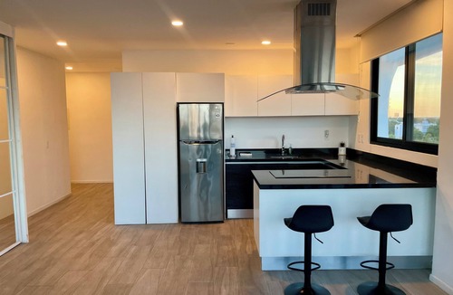 Luis Donaldo Colosio Apartment | Penthouse, centrally located close to the beach and 5th Av, roof with pool
