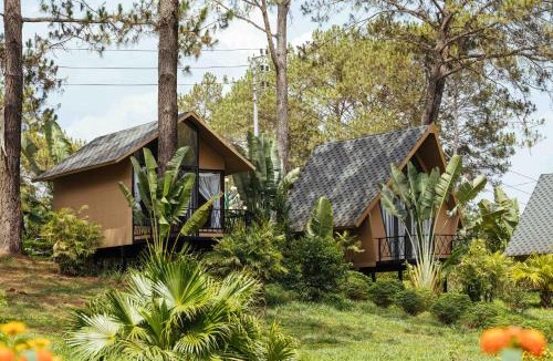Moc Chau Hotel | Phoenix Mộc Châu Resort