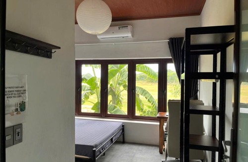 Son Trach Hotel | Phong Nha Mini Farm - Nguyen Shack
