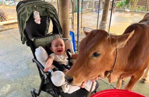 Son Trach Hotel | Phong Nha Mini Farm - Nguyen Shack