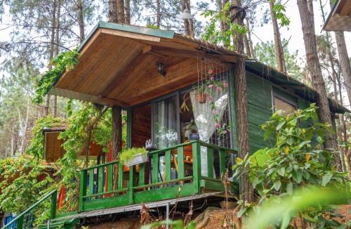 Soc Son Resort | Pine Hill Villas & Camping