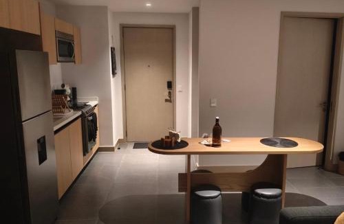 Anahuac Apartment | Polanco Loft México City