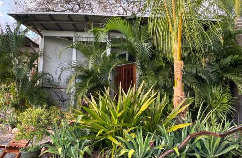 Hidalgo House | Poolside Cabaña Studio with stunning ocean view