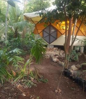 Villa Juarez Other | Portal Xibalba