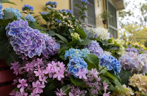 Fuxing District Bed & Breakfast | Prado Hill Holiday