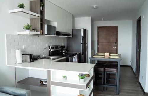 Zona 14 Apartment | Professionally Decorated, Brand New Pet-Friendly Apartment.