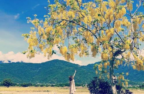 Yuli House | Pu Shi Homestay