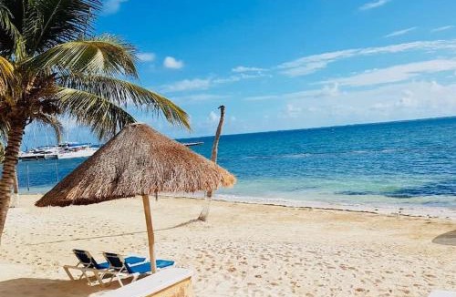 Puerto Juarez Apartment | Punta me Apartment beach front in the hotel & Waterpark
