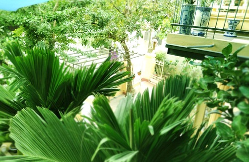 Hue City Centre Villa | Q GARDEN HOMESTAY VILLA