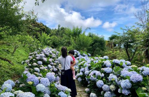 Jinfeng House | Qingshan Homestay