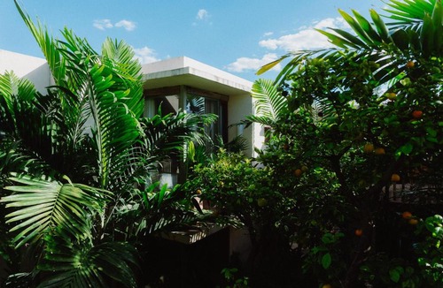 Barrio de Santiago Hotel | Querida Casa - Mérida Centro