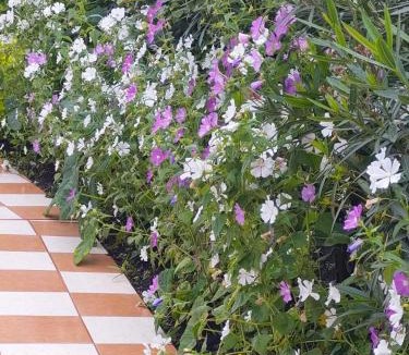 Las Rosas Villa | Quinta Rubi