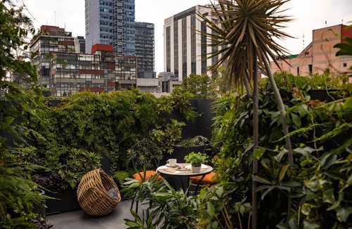 Colonia Cuauhtemoc Hotel | Reforma Guest House