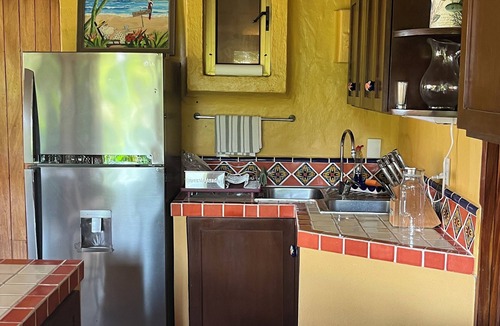Diaz Ordaz Condo | Relax amidst the palms in a 1-bedroom oceanfront condo at Los Tules.