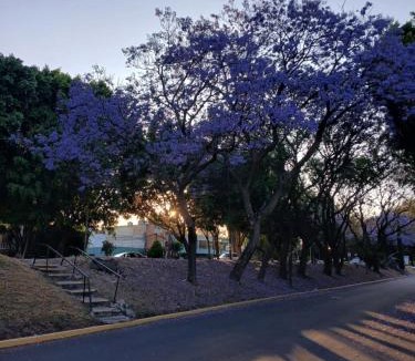 San Francisco Culhuacan House | Residencia El navegante 2