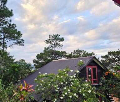 Da Lat Ski Chalet | Romantic house 2 on a pine hill Dalat
