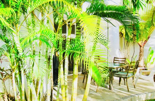 Playacar House | Room-executive Basic Room With Swimming