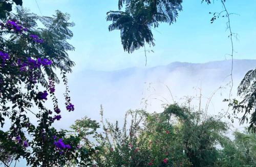 Di Linh Bed & Breakfast | Rosee de Kala - Chipmunk Alvin