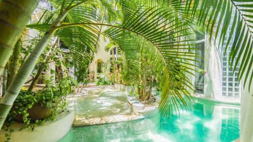 Downtown Apartment | Royal Palms 5