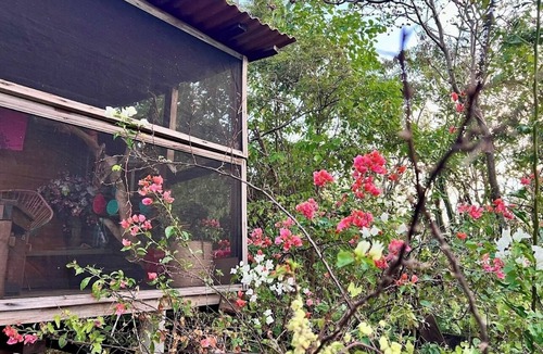San Pedro Pochutla Cabin | Rustic cabin with ocean view