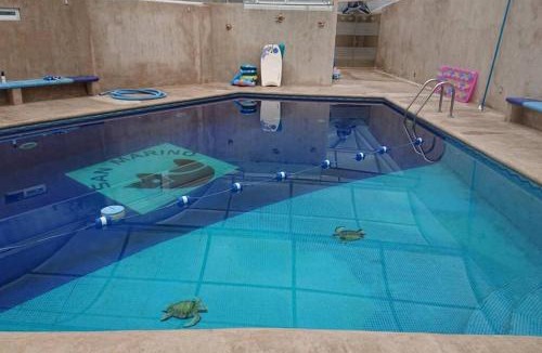 Xochimilco Apartment | San Marino