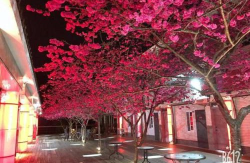 Sanyi House | Sanyi Homestay