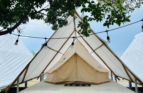 Can Gio Other | SAY Camp Forest