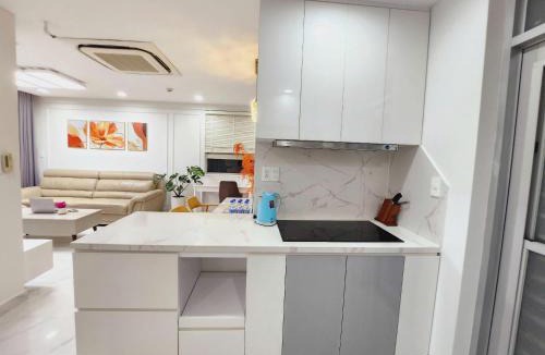 Phu My Hung Apartment | Scenic valley