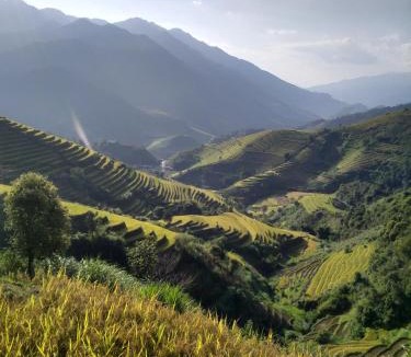 Mu Cang Chai Hotel | See bungalow mu cang chai