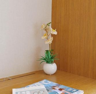 Tsim Sha Tsui Apartment | Shing Residence 盛薈