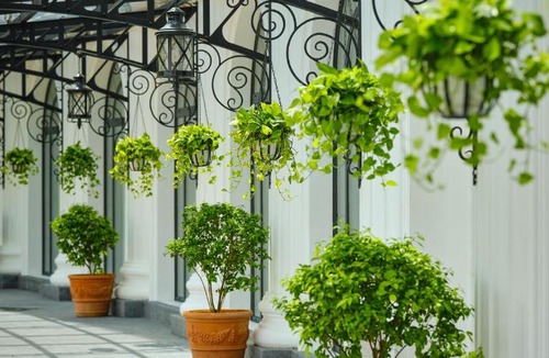 Hue City Centre Hotel | Silk Path Grand Hue Hotel