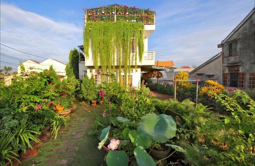 Hoi An City Centre House | Skybird Homestay