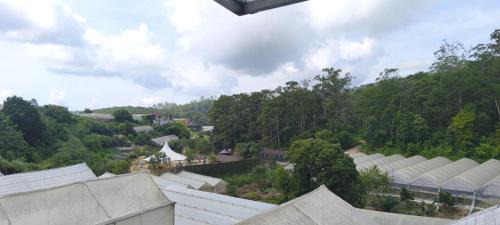 Da Lat House | SON TAM Nhà Vườn Homestay