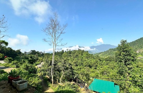 Vi Xuyen House | Song Ban Mountain Homestay