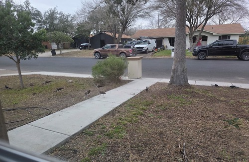 Weslaco House | Spacious 4-bedroom 3 full bath house in beautiful Weslaco with AC. Sun and Fun.