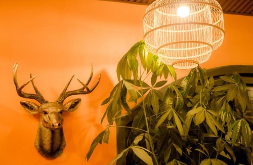 Da Lat Hotel | Steed Hotel Đà Lạt