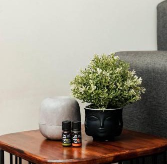 Playa Ensenada House | Studio 112 - Stay In Style, Stay Central