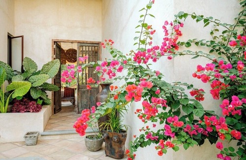 Saladita House | Stylish Surf House w/pool - unbeatable location, right in front of the wave!