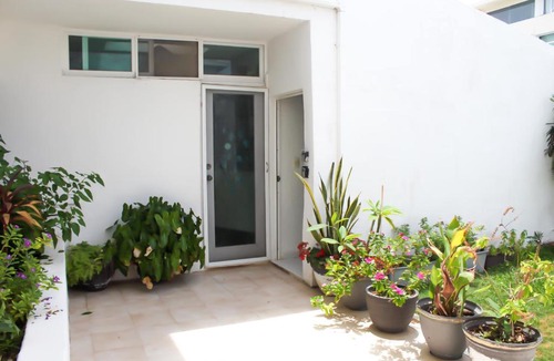 Zona Hotelera Apartment | Suite Dreams