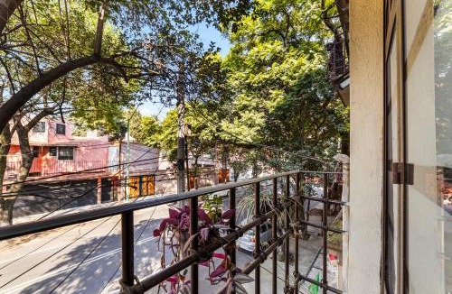 Del Carmen Hotel | Suites Calle Berlin