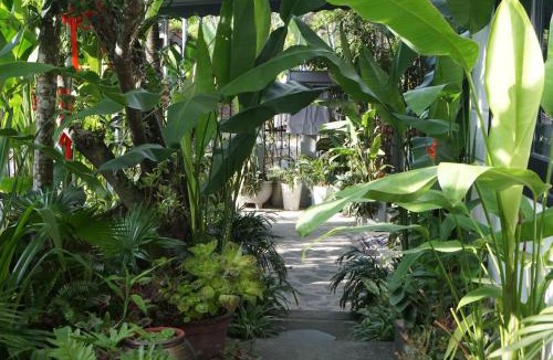 Hoi An House | Sunny Garden Homestay