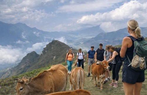 Hau Thao House | Surelee Homestay & Sapa Trekking Tours by Local Path
