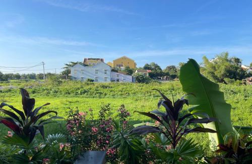 Thanh Ha House | T & D Maison Hoi An