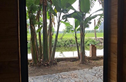 Hoa Lu Cabin | Tam Coc Mountainside Homestay
