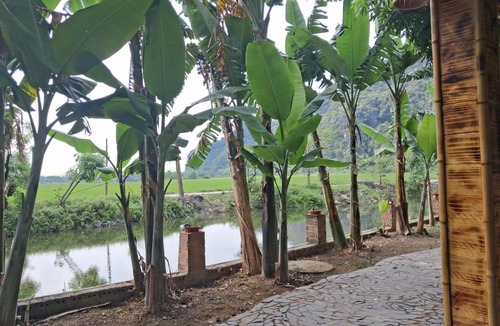 Hoa Lu Cabin | Tam Coc Mountainside Homestay