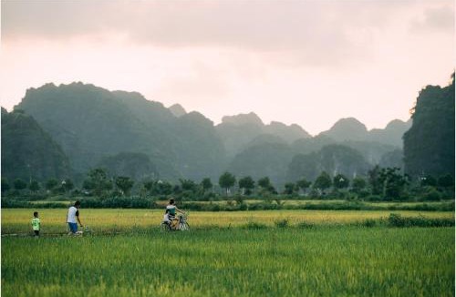 Hoa Lu Cabin | Tam Coc Windy Fields