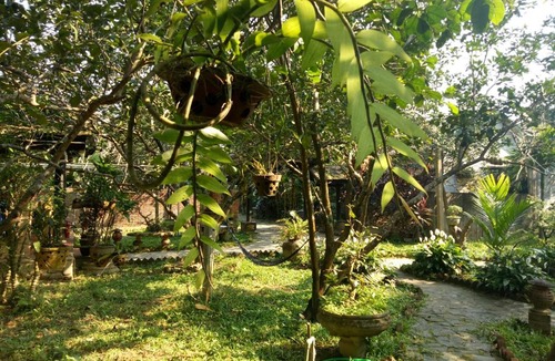 Huong Tra House | Tam Tinh Vien Homestay
