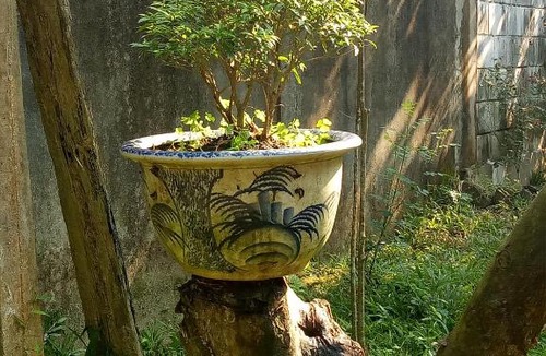 Huong Tra House | Tam Tinh Vien Homestay