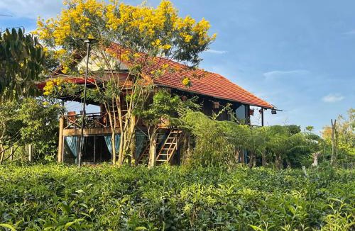 Bao Loc Cabin | Tea Garden House